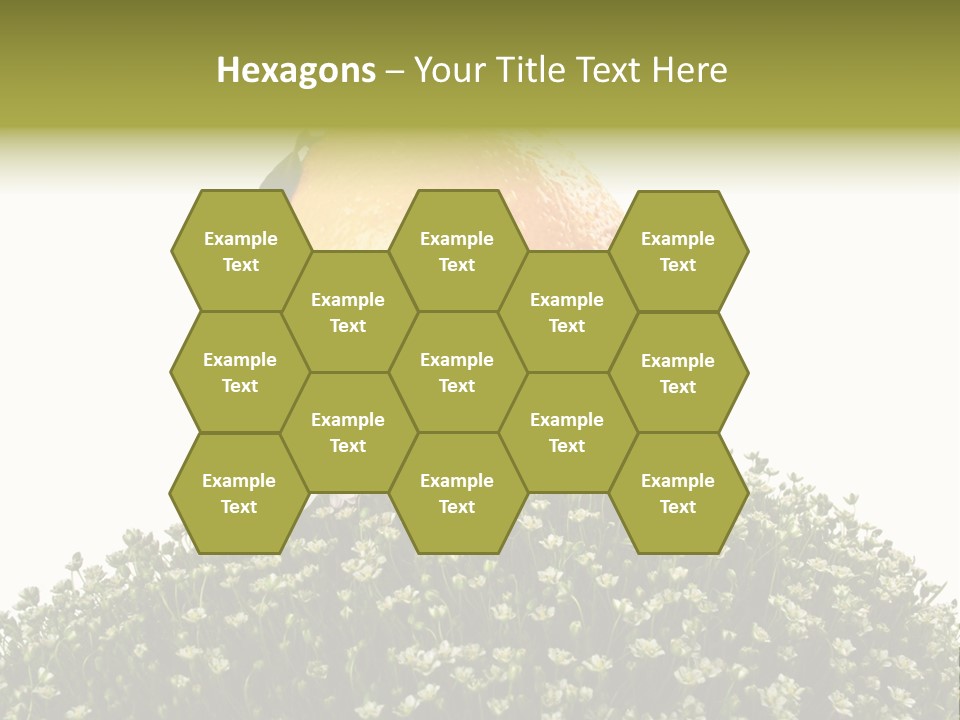 Leaf Fresh Diet PowerPoint Template