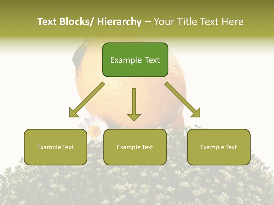 Leaf Fresh Diet PowerPoint Template