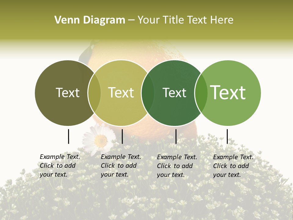 Leaf Fresh Diet PowerPoint Template