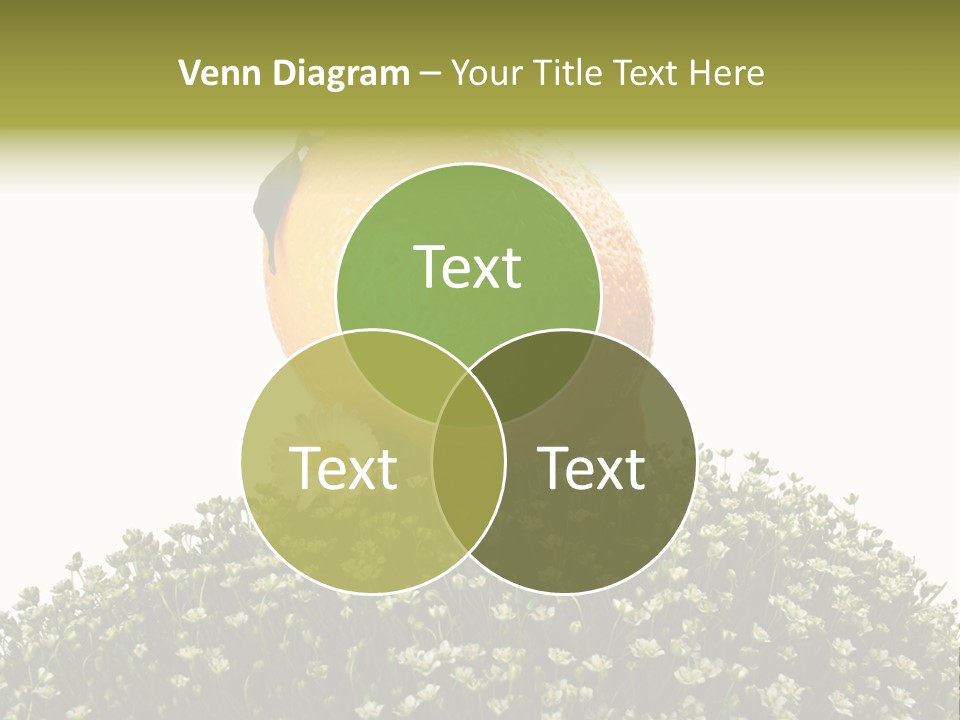 Leaf Fresh Diet PowerPoint Template