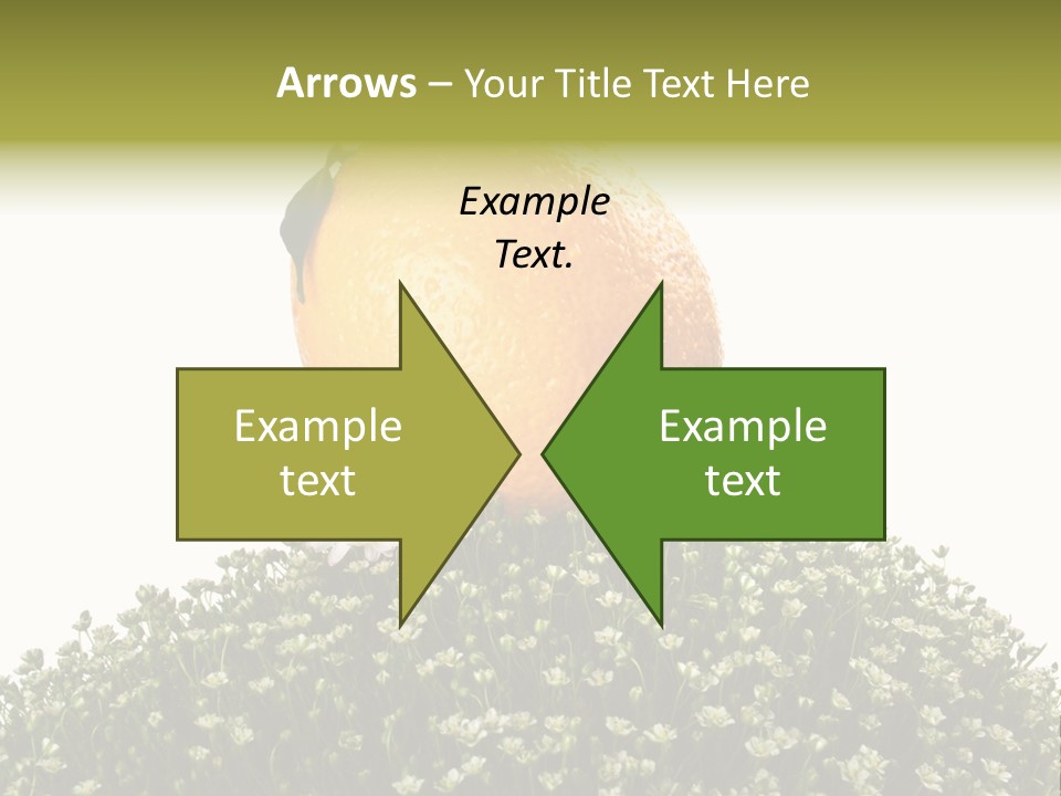 Leaf Fresh Diet PowerPoint Template