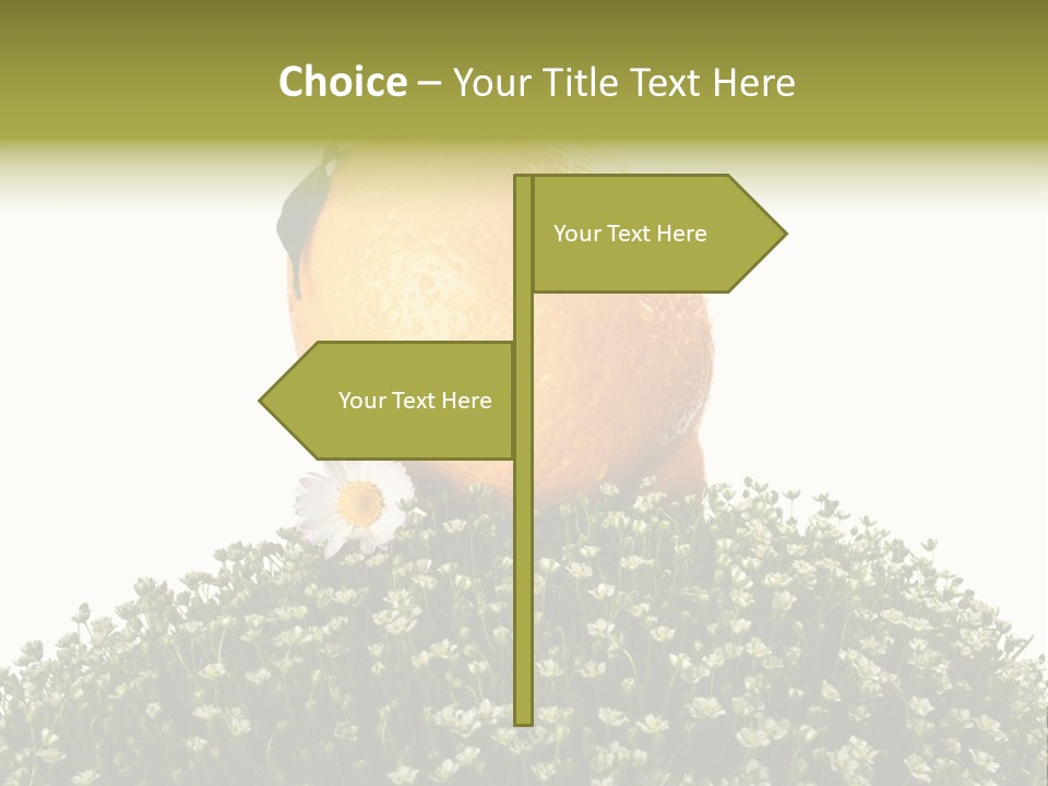 Leaf Fresh Diet PowerPoint Template