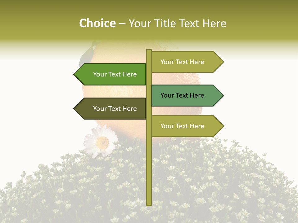 Leaf Fresh Diet PowerPoint Template