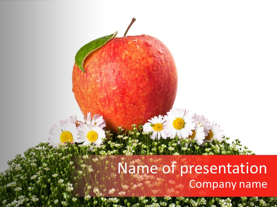 Camomile Juicy Fruit PowerPoint Template