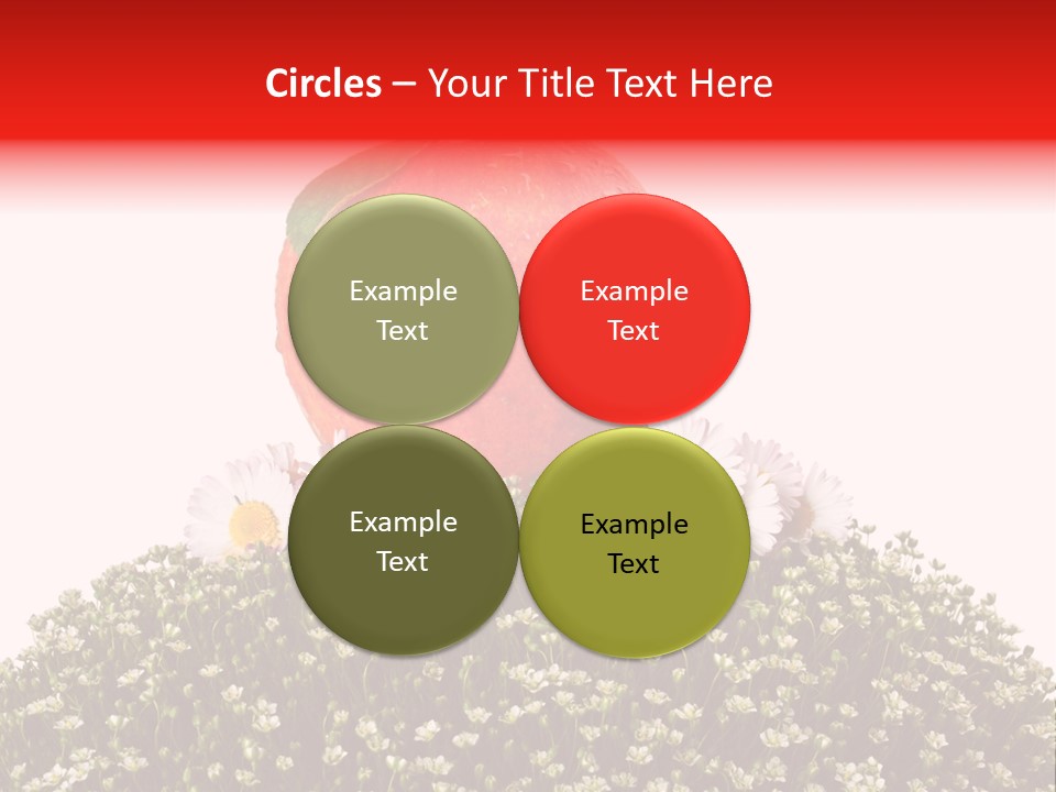 Camomile Juicy Fruit PowerPoint Template