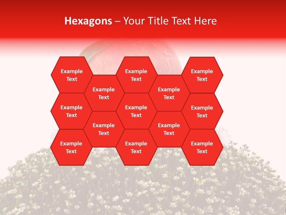 Camomile Juicy Fruit PowerPoint Template