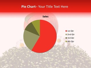 Camomile Juicy Fruit PowerPoint Template