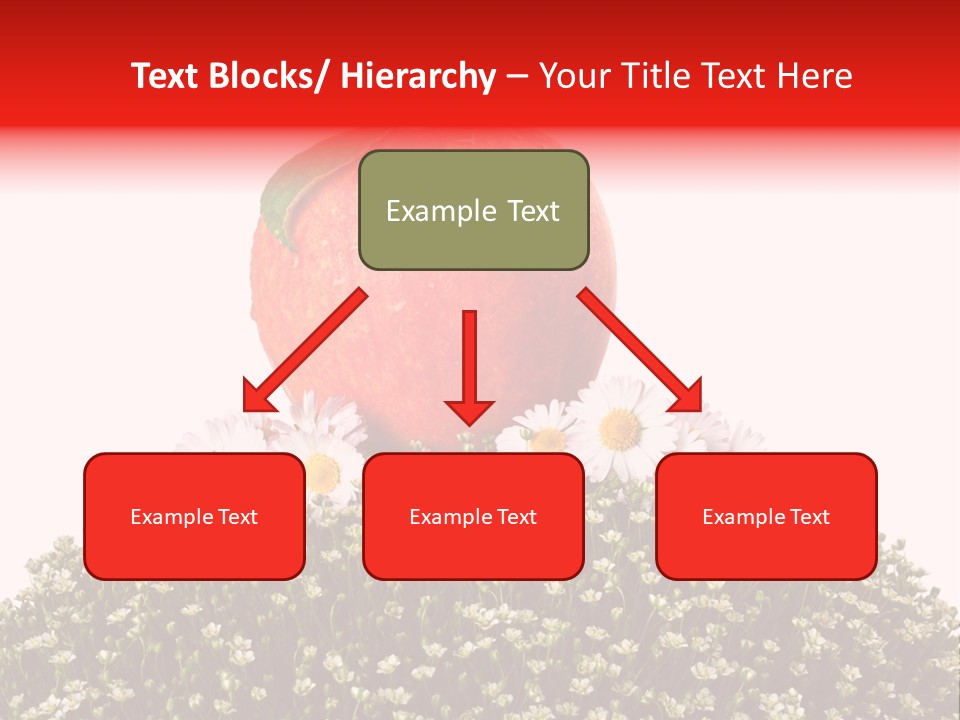 Camomile Juicy Fruit PowerPoint Template