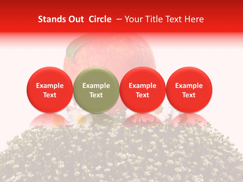 Camomile Juicy Fruit PowerPoint Template