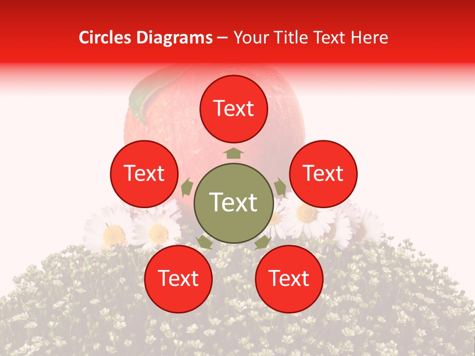 Camomile Juicy Fruit PowerPoint Template