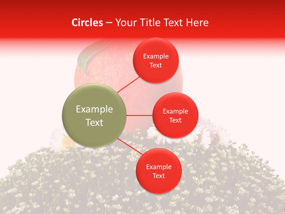 Camomile Juicy Fruit PowerPoint Template