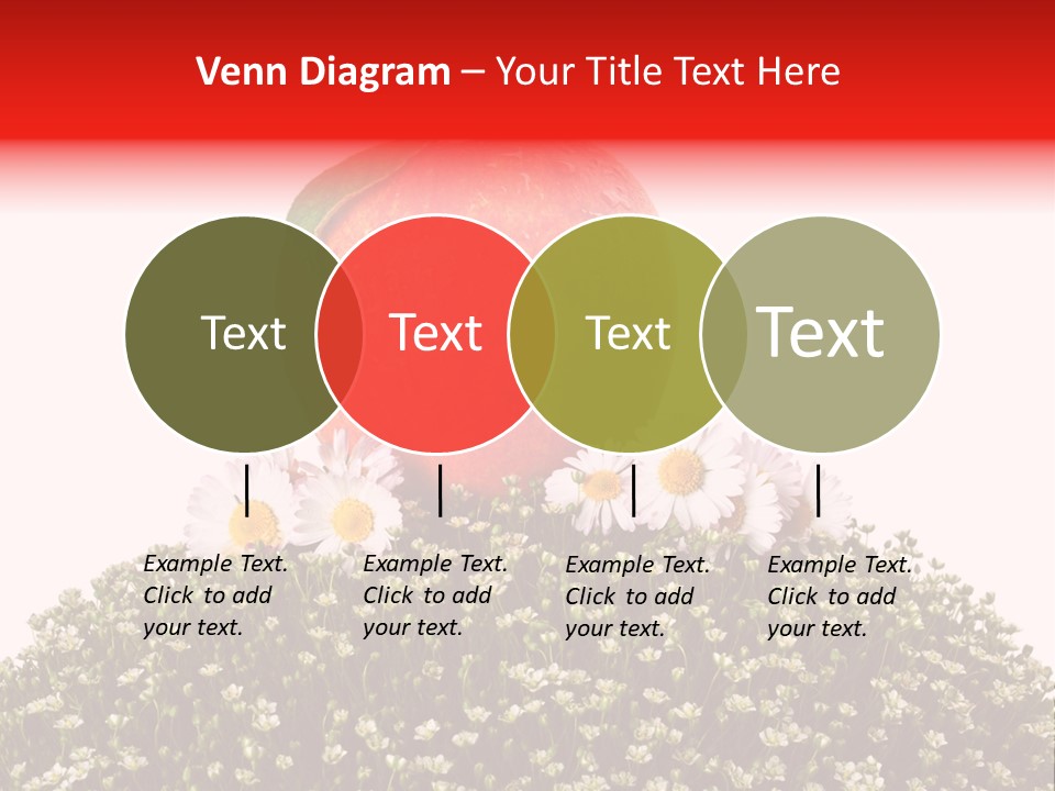 Camomile Juicy Fruit PowerPoint Template
