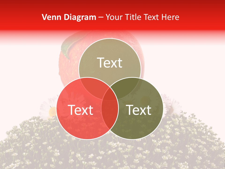 Camomile Juicy Fruit PowerPoint Template