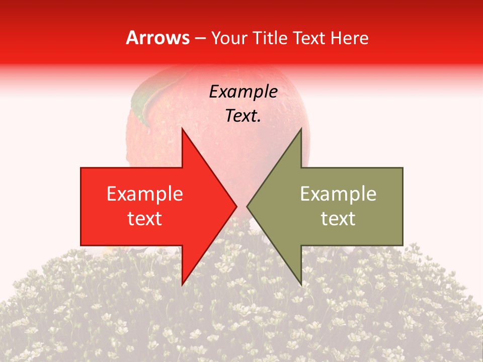 Camomile Juicy Fruit PowerPoint Template