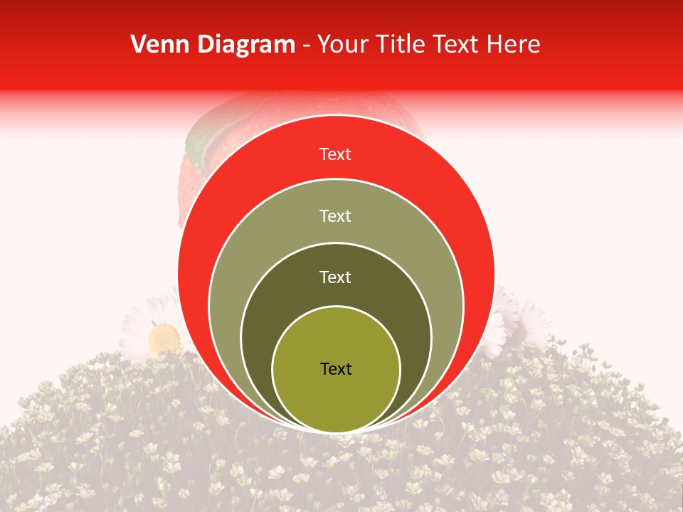Camomile Juicy Fruit PowerPoint Template