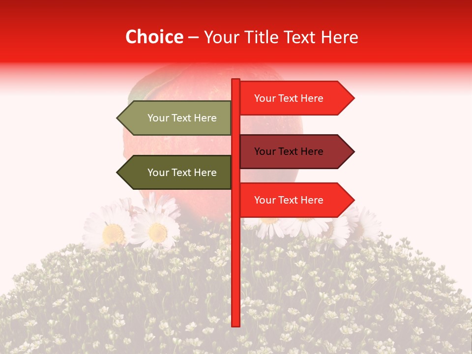 Camomile Juicy Fruit PowerPoint Template