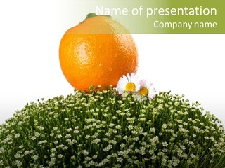 Foliage Drop Still PowerPoint Template