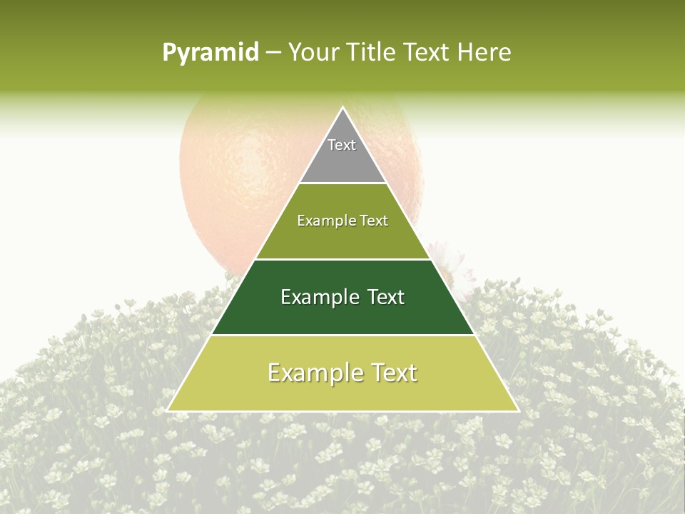 Foliage Drop Still PowerPoint Template