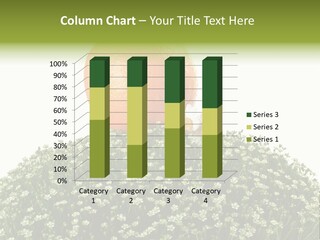 Foliage Drop Still PowerPoint Template