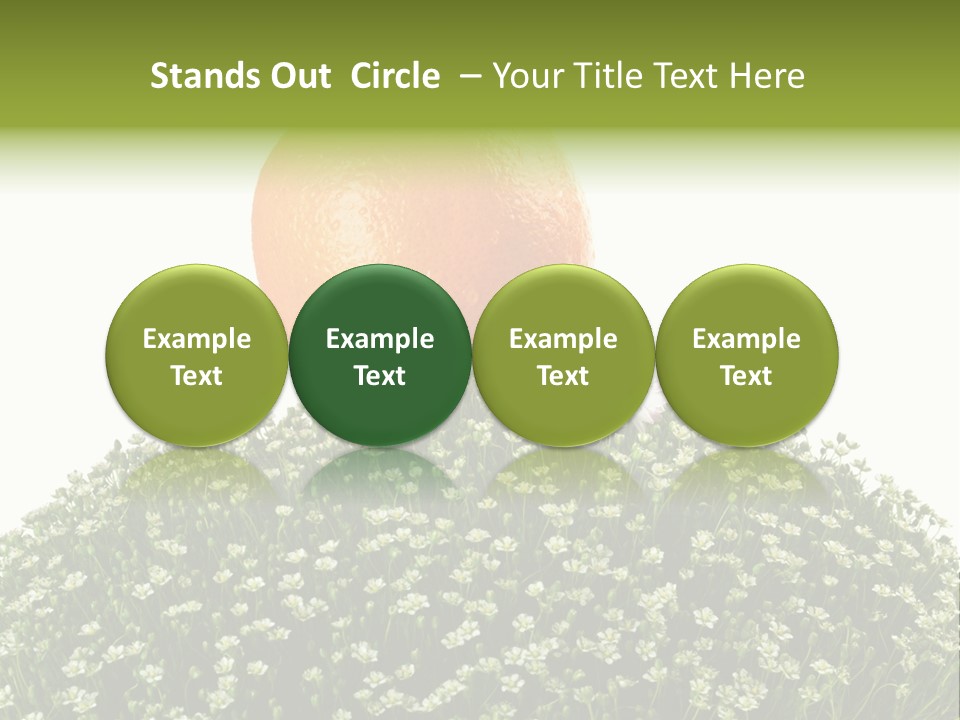 Foliage Drop Still PowerPoint Template