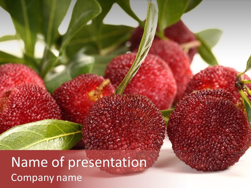 Harvesting Summer Madrona PowerPoint Template
