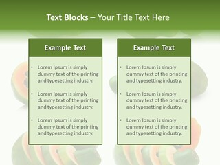 Fruit Sweet Papaya PowerPoint Template