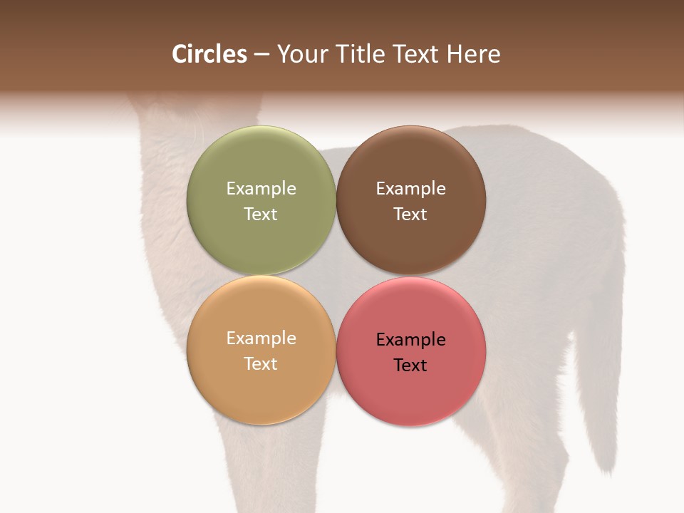 Looking Lynx Cat Ears PowerPoint Template