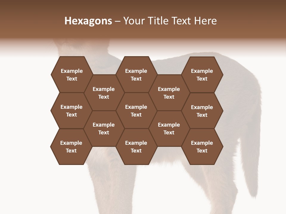 Looking Lynx Cat Ears PowerPoint Template