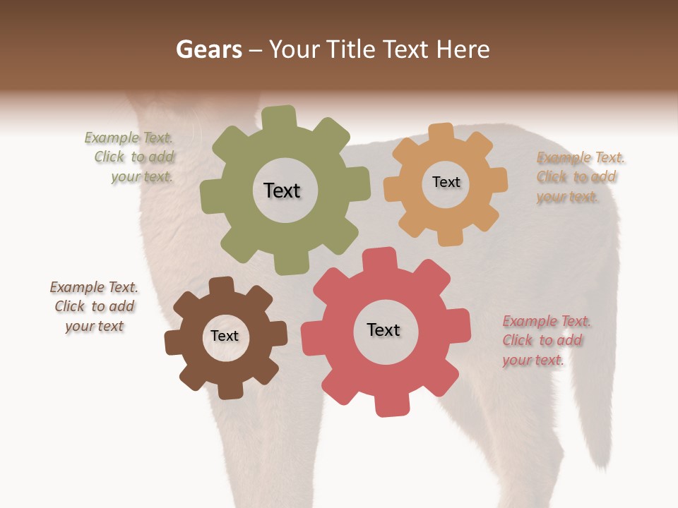 Looking Lynx Cat Ears PowerPoint Template