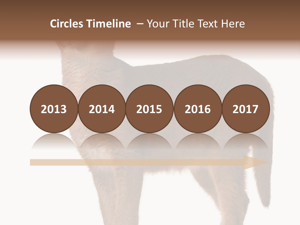 Looking Lynx Cat Ears PowerPoint Template