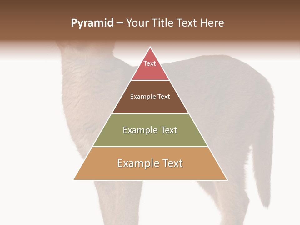 Looking Lynx Cat Ears PowerPoint Template