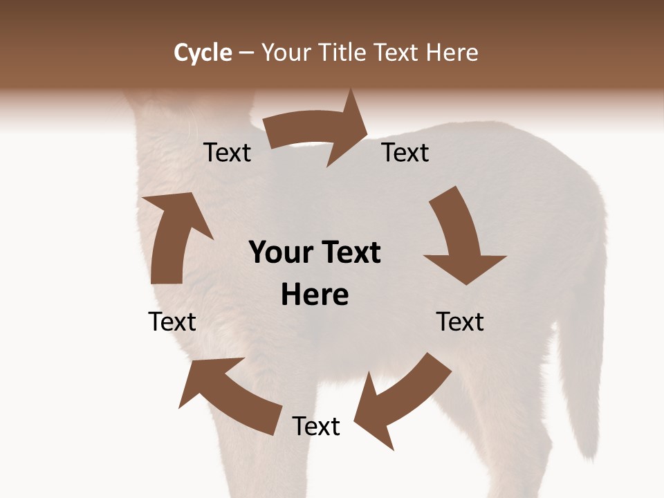 Looking Lynx Cat Ears PowerPoint Template