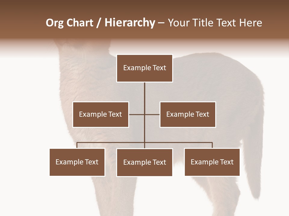 Looking Lynx Cat Ears PowerPoint Template