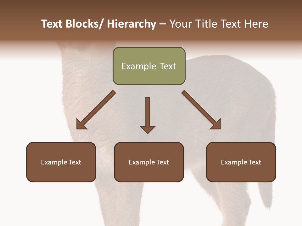 Looking Lynx Cat Ears PowerPoint Template