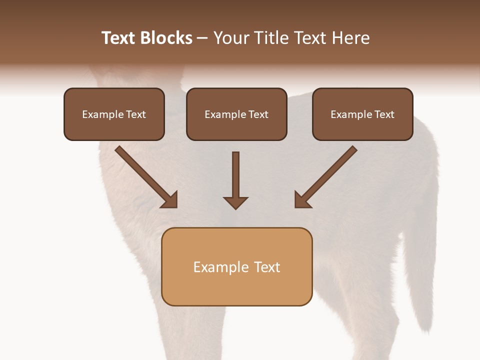 Looking Lynx Cat Ears PowerPoint Template