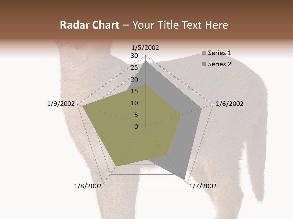 Looking Lynx Cat Ears PowerPoint Template