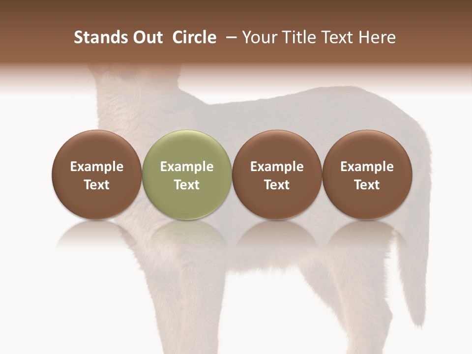 Looking Lynx Cat Ears PowerPoint Template