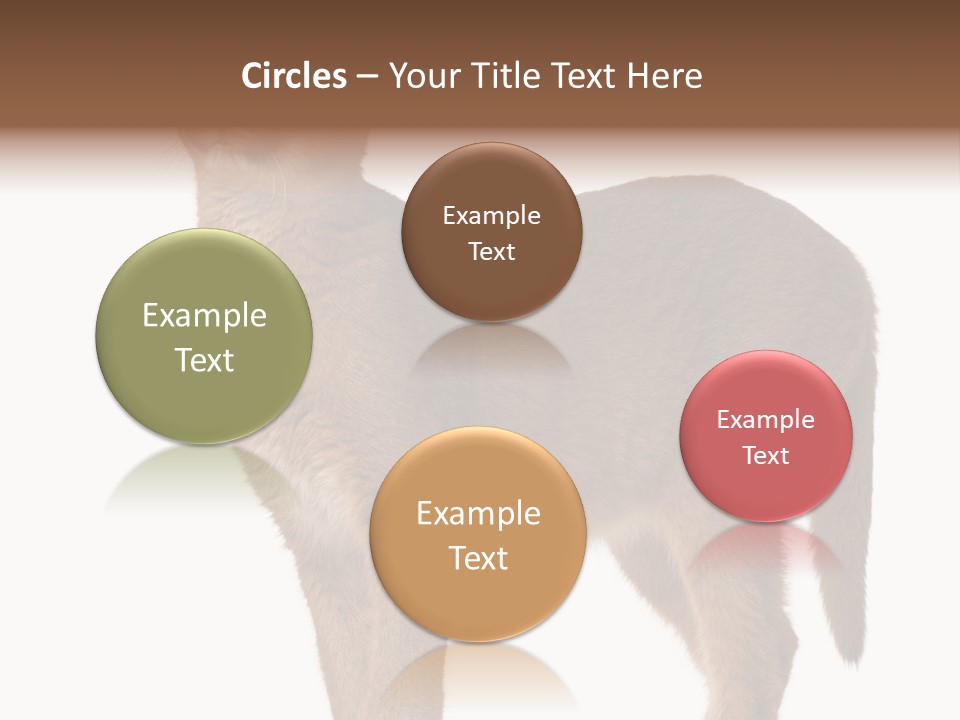 Looking Lynx Cat Ears PowerPoint Template