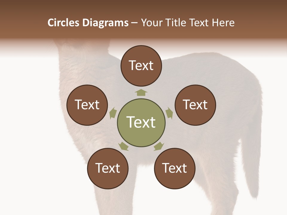 Looking Lynx Cat Ears PowerPoint Template