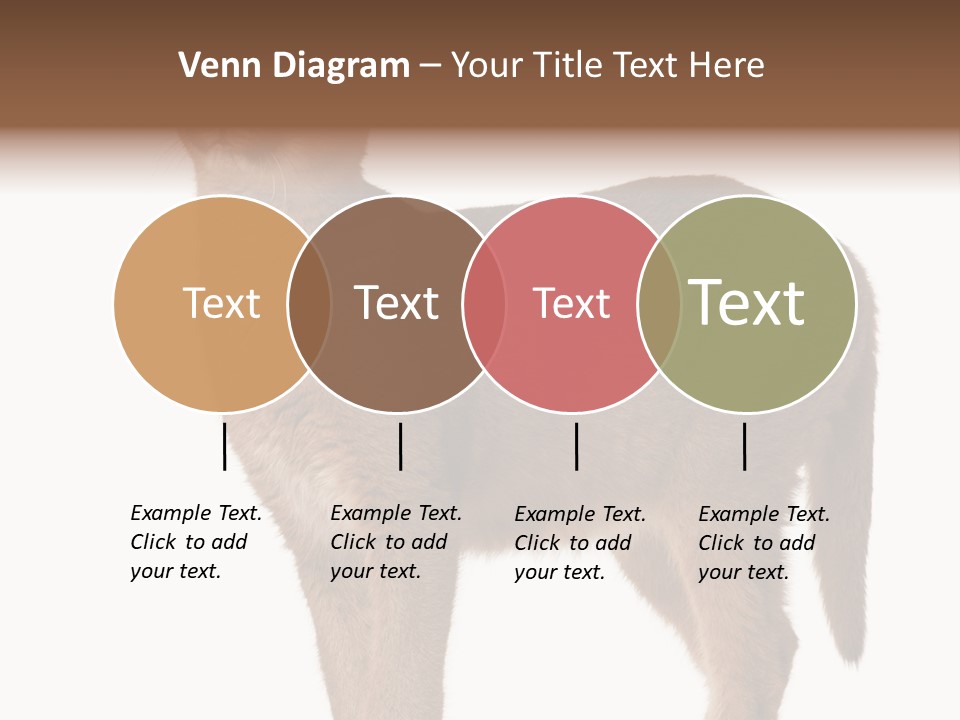 Looking Lynx Cat Ears PowerPoint Template