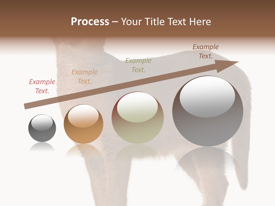 Looking Lynx Cat Ears PowerPoint Template