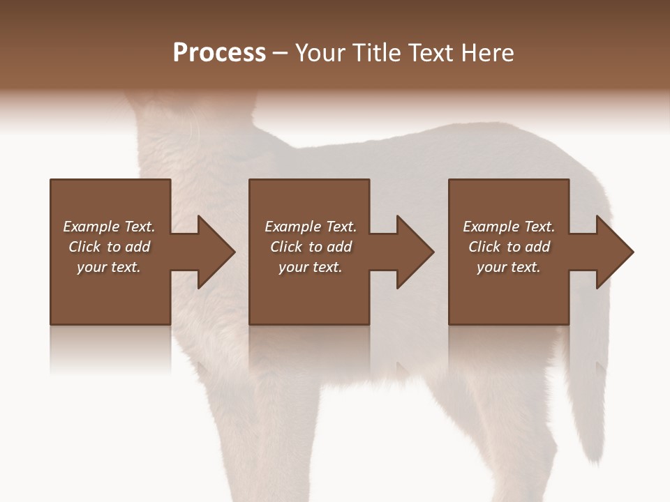 Looking Lynx Cat Ears PowerPoint Template