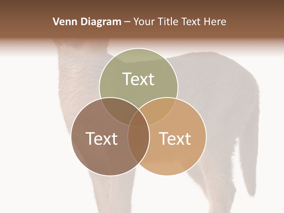 Looking Lynx Cat Ears PowerPoint Template