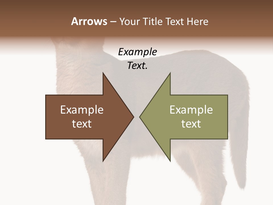 Looking Lynx Cat Ears PowerPoint Template