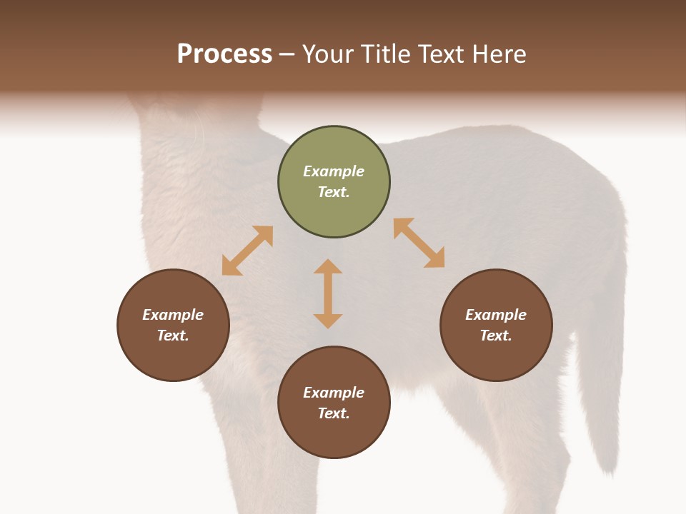 Looking Lynx Cat Ears PowerPoint Template