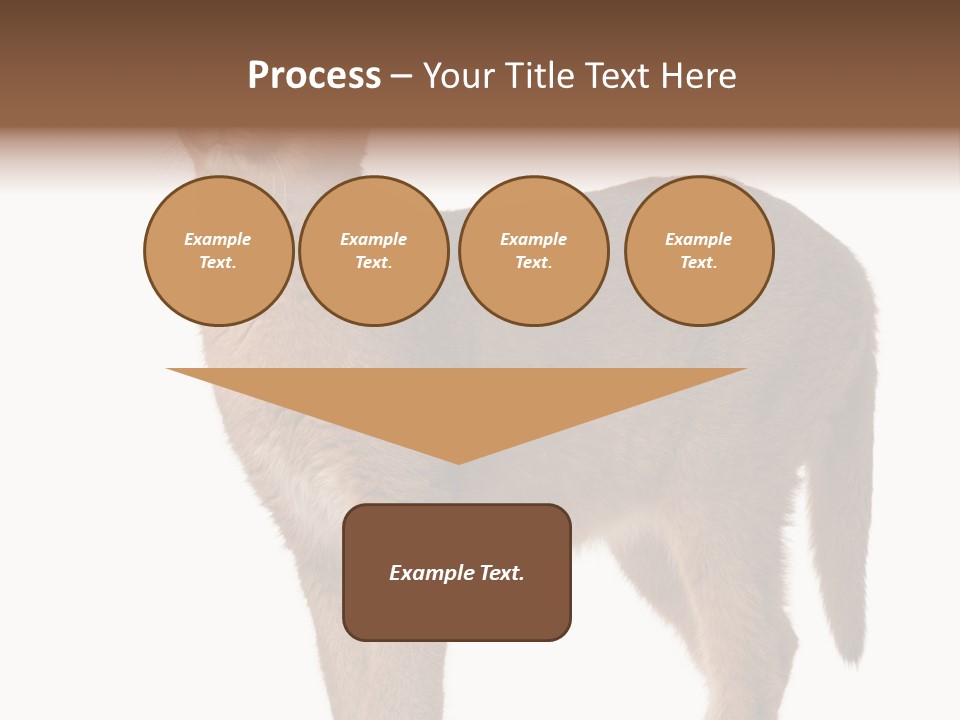Looking Lynx Cat Ears PowerPoint Template