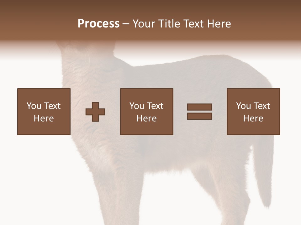 Looking Lynx Cat Ears PowerPoint Template