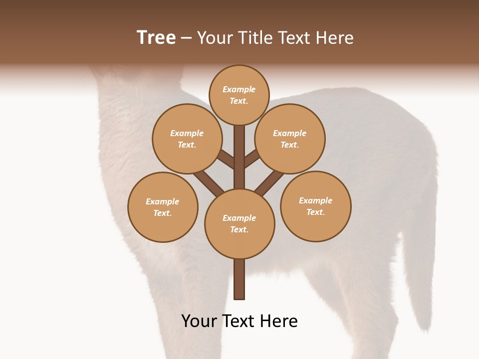 Looking Lynx Cat Ears PowerPoint Template