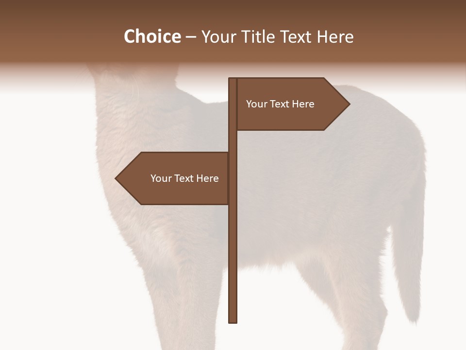 Looking Lynx Cat Ears PowerPoint Template