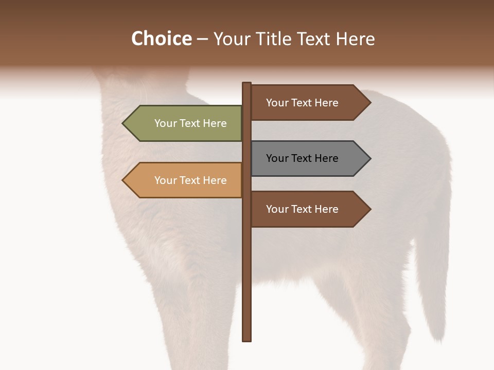 Looking Lynx Cat Ears PowerPoint Template